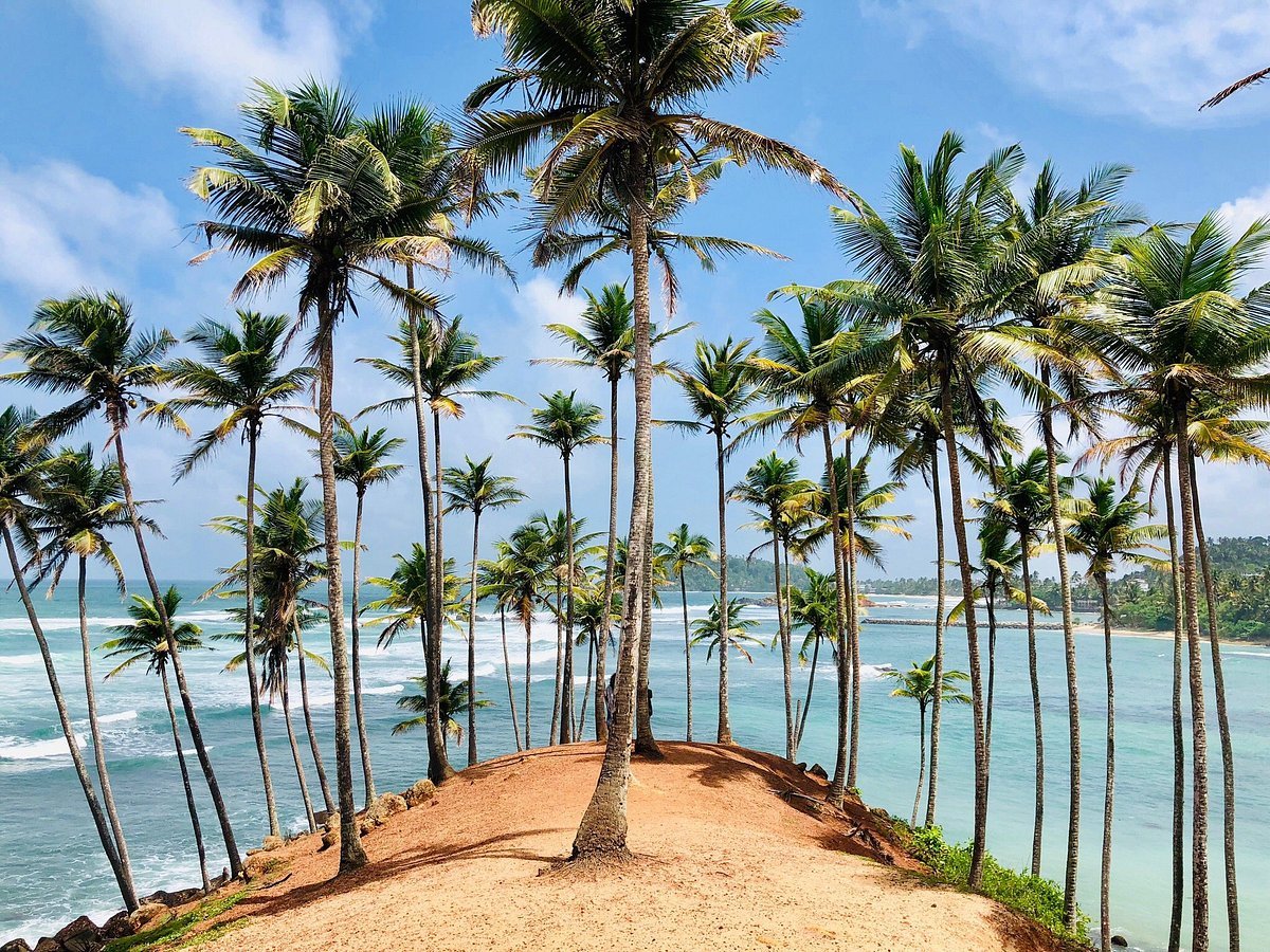 Mirissa Beach & Coconut Tree Hill